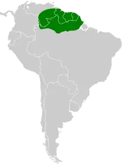 Distribución geográfica del hormiguero gorgirrufo.