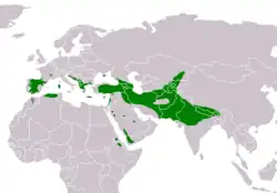 Área de distribución de G. fulvus[cita requerida]