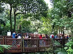 Dentro de un aviario en el Parque de Hong Kong