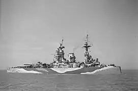 HMS Rodney, primer mando mayor de Tovey.