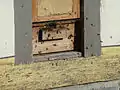 Abejas en la casa de viñedo medieval