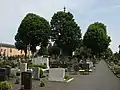 Cementerio