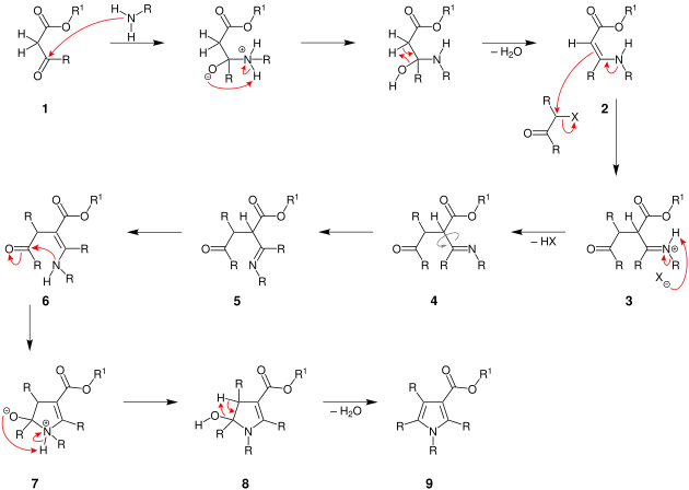 Mechanism for the Hantzsch Pyrrole Synthesis