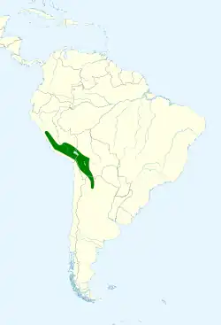 Distribución geográfica de la golondrina andina.