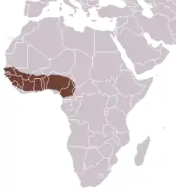 Distribución de la jineta de Haussa