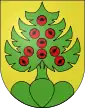 Escudo