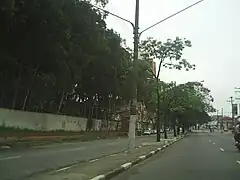 Forestación en el barrio ye, al fondo, una villa carente