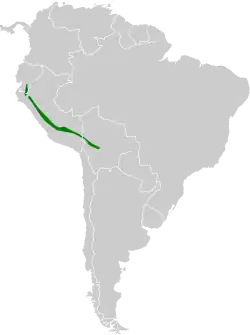 Distribución de Heliangelus amethysticollis