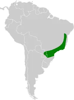 Distribución geográfica del titirijí pechigrís.