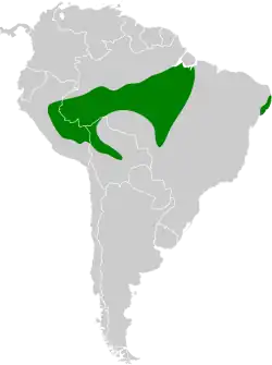 Distribución geográfica del titirijí ventriblanco.