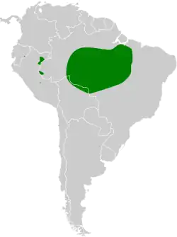 Distribución geográfica del titirijí de Zimmer.