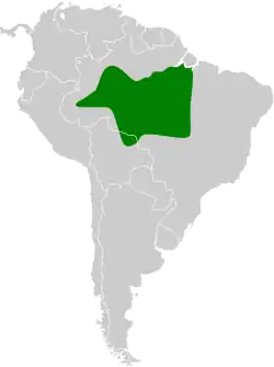 Distribución geográfica del titirijí de Snethlage.