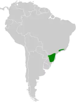 Distribución geográfica del titirijí pechipardo.