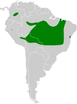 Distribución geográfica del titirijí gorgiestriado.