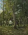 Entree de la foret