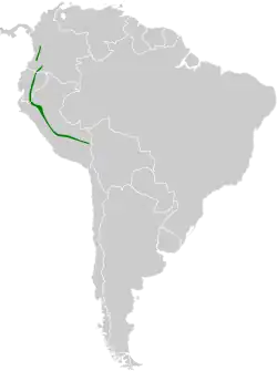 Distribución geográfica del tiluchí pechiamarillo.