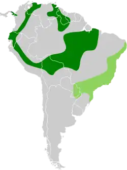 Distribución geográfica del tiluchí alirrufo y del tiluchí alirrufo norteño.