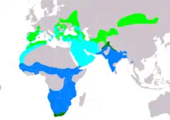 Distribución de Hieraaetus pennatus