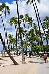 Paseo marítimo de Hilton Hawaiian Village
