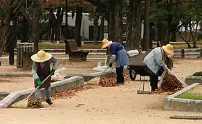 Jardineros con carro