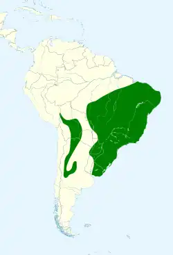 Distribución geográfica del birro belicoso.