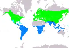 Distribución de Hirundo rustica