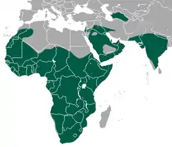 Distribución del ratel