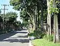 Calle interior desde la entrada Juan del Corral