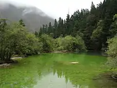 Paisaje natural en Huanglong.