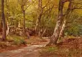 Hugo Darnaut - The Path in the Wood