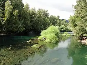 Aguas transparentes del Río Fuy.