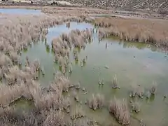 Reserva del Regajal-Mar de Ontígola