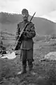 Soldado húngaro armado con un Mannlicher M1895 en la Segunda Guerra Mundial.