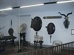 Trofeos de caza. Sala "Conde deTurín"