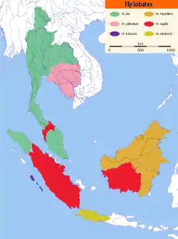 Distribución de las seis especies de Hylobates