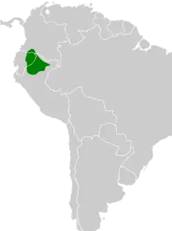 Distribución geográfica del tororoí ventricanela ecuatoriano.