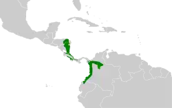 Distribución geográfica del tororoí de anteojos.