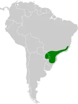 Distribución geográfica del verdillo coronado.