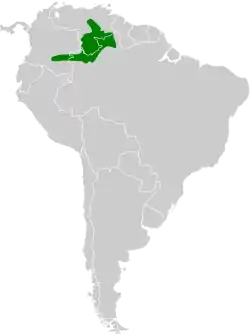 Distribución geográfica del hormiguero cantarín Imeri.