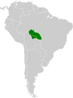 Distribución geográfica del hormiguero de Rondonia.