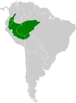 Distribución geográfica del hormiguero peruano.