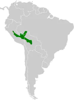 Distribución geográfica del hormiguero de pecho amarillo.