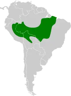 Distribución geográfica del hormiguero colibandeado.