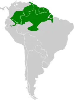 Distribución geográfica del hormiguero barbinegro.