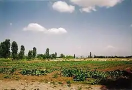 A view from Iğdır grassy plain