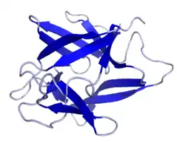 Estructura de la Interleucina-1