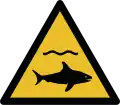 W054 — Tiburones