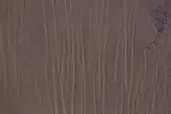 Grandes dunas lineales de seif en el Gran Mar de Arena en el suroeste de Egipto, véase desde la Estación Espacial Internacional. La distancia entre cada duna es de 1,5-2,5 km.