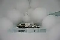 Sala Snowball