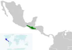 Distribución de I. maculialatus